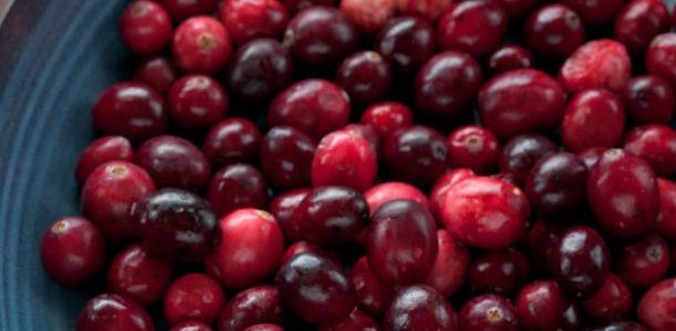 Cranberry-Jalapeno Cream Cheese Dip