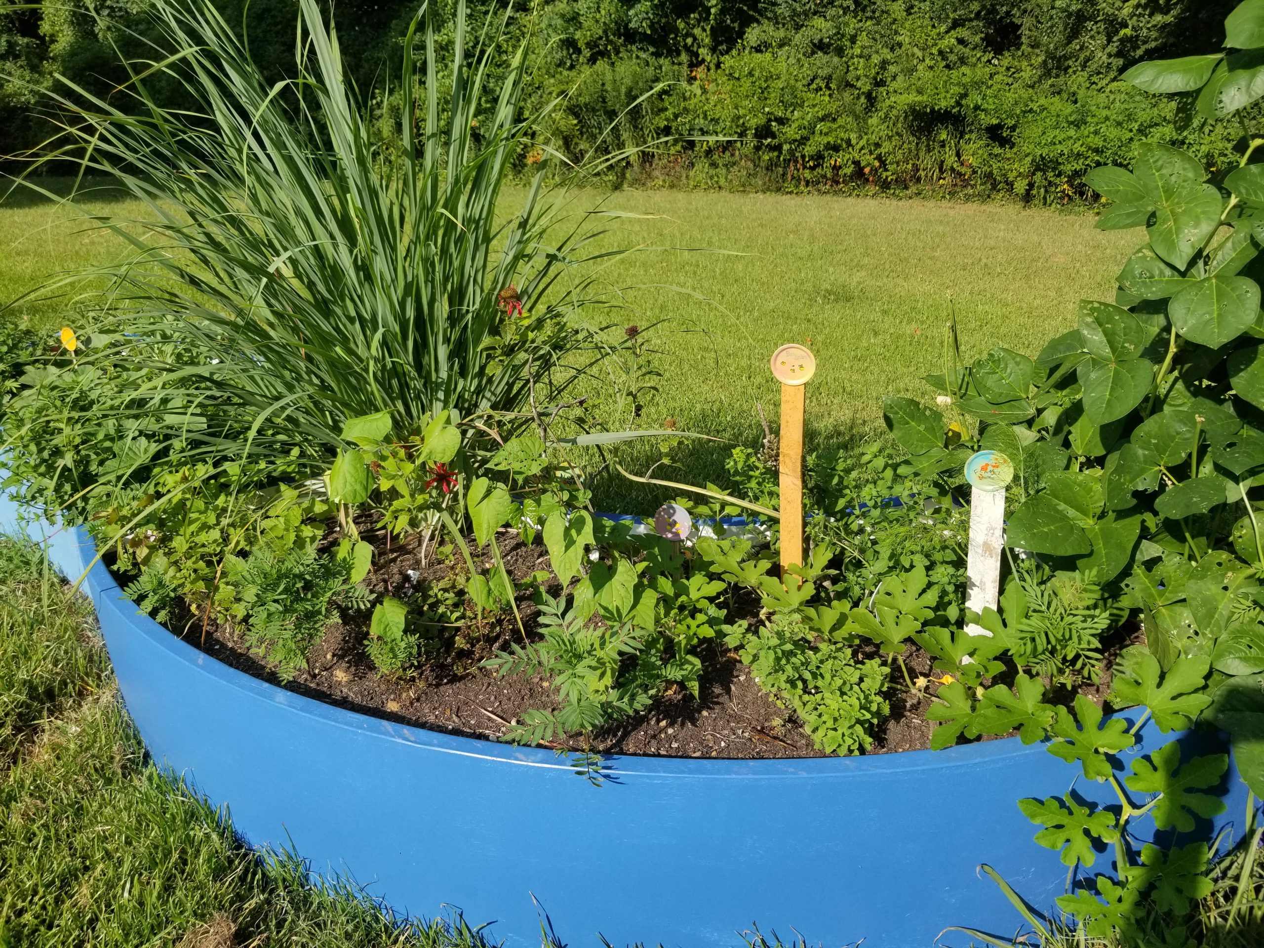 HERB SPIRAL AND ART+GARDEN AT ARKWINGS